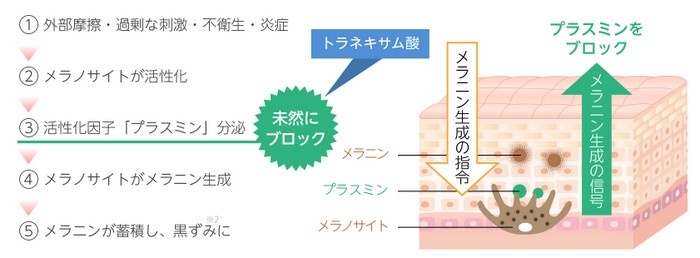 スイープホワイト（スウィープホワイト）